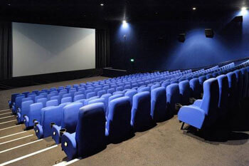 Professional cinemas Picturehouse Fact