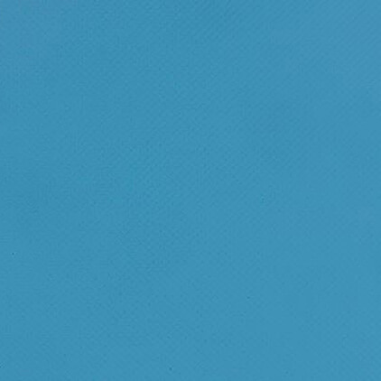 PVC Coated Fabric Blue (2)