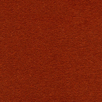 Vegas 620gsm Velour Flame