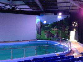 Large 3D screen moves in near sea lions in Woburn Safari Park