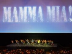 Indoor and outdoor projection screens for special events