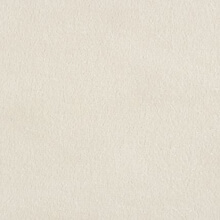 Cabaret Sparkle Velvet Velour Natural