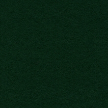 Display Felt Dark Green (24)