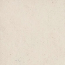 Exhibition Carpet White