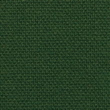 Main Line Plus Forest