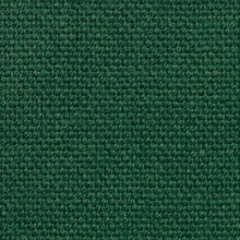 Main Line Plus Juniper