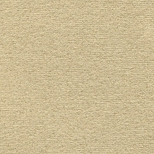 Mayfair Velour Beige DFR 395g/m2