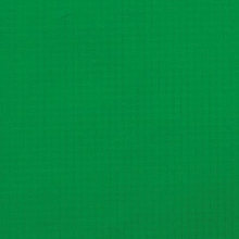 Ripstop Forest Green