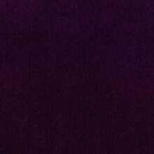 Velvet Velour Purple