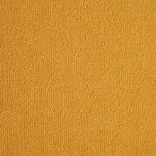 Velvet Velour Sunset 