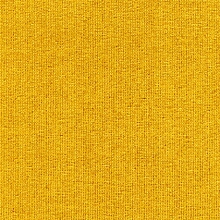 Windsor Velour Golden