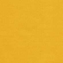 Jap Silk Marigold